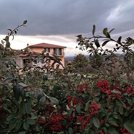 BussoLa Casa Di Mezzo-Affitti Brevi-Zona Ospedali别墅 外观 照片