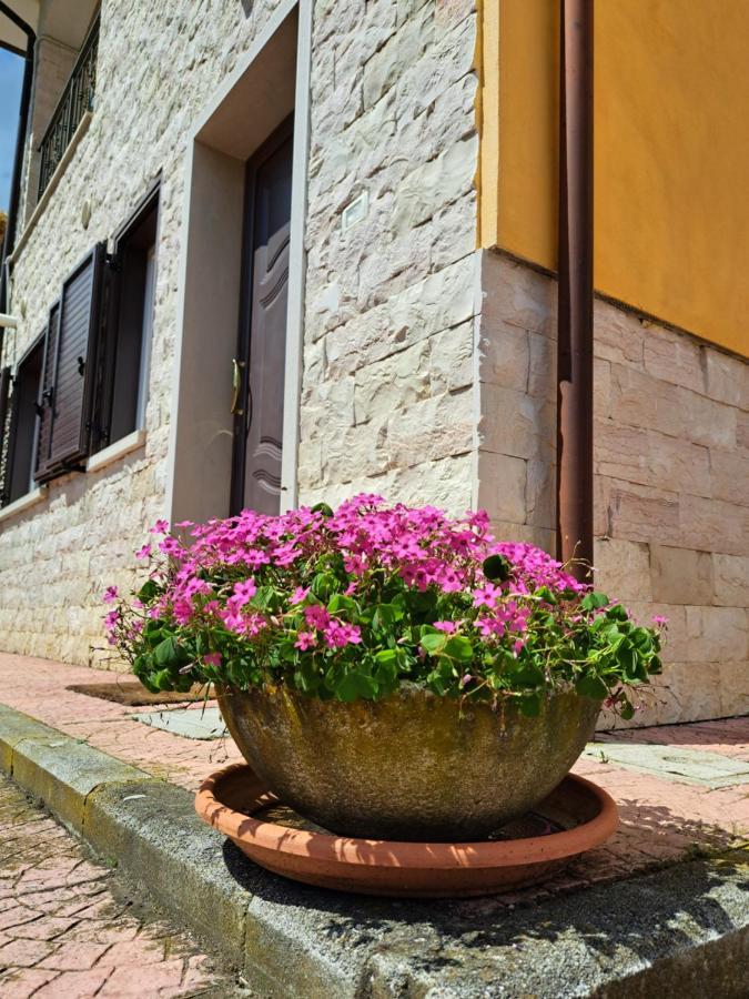BussoLa Casa Di Mezzo-Affitti Brevi-Zona Ospedali别墅 外观 照片